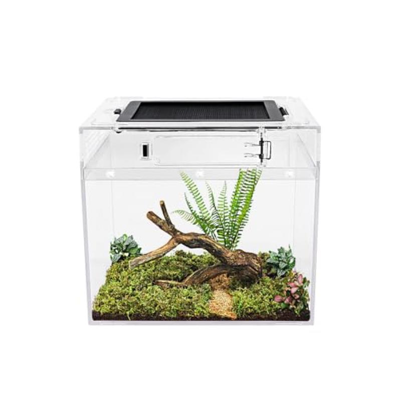 Mini Reptile Tank Vivarium Mini Reptile Tank Vivarium