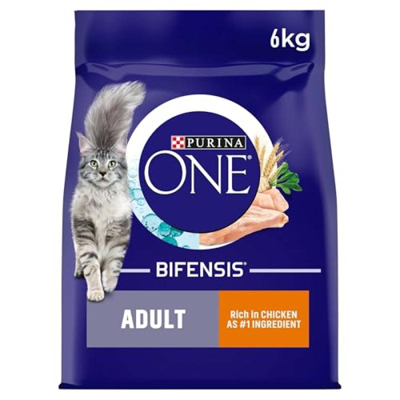 Purina ONE Cat Food with Chicken