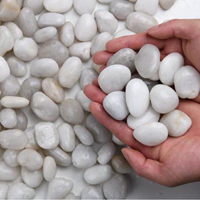 Hisredsun Decorative White Stones