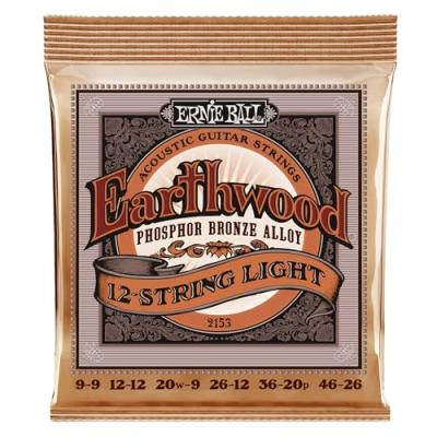 Ernie Ball 12-String Acoustic Guitar Strings