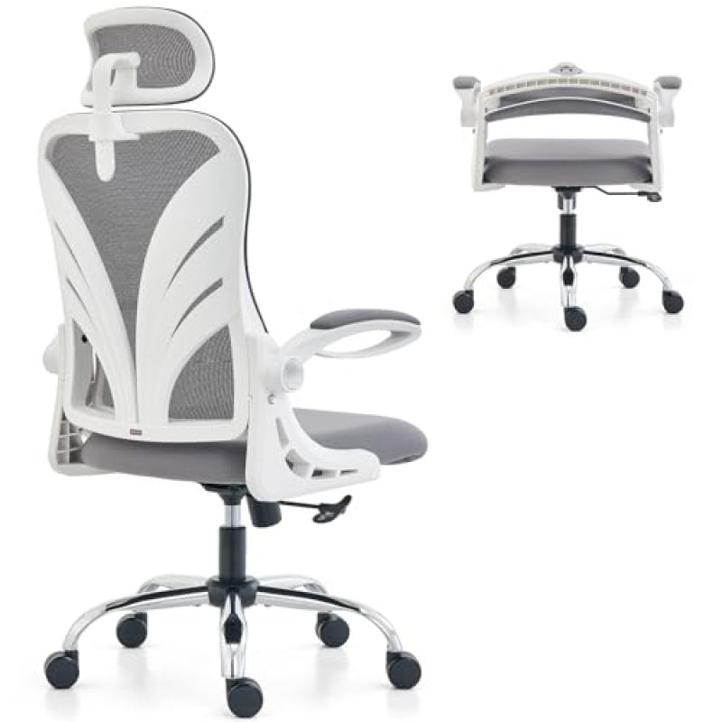 HOLLUDLE Ergonomic Office Chair HOLLUDLE Ergonomic Office Chair