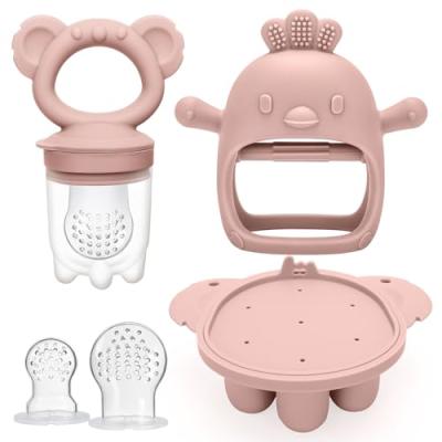CLDY Baby Feeder & Freezer Tray Combo