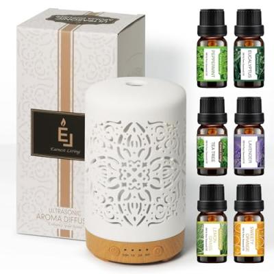 Earnest Living Essential Oil Diffuser Set Earnest Living Essential Oil Diffuser Set
