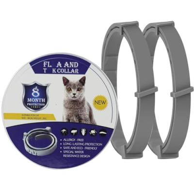 Cat Collar for Infection Prevention