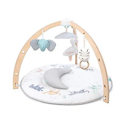 Aden + Anais Baby Activity Gym Aden + Anais Baby Activity Gym