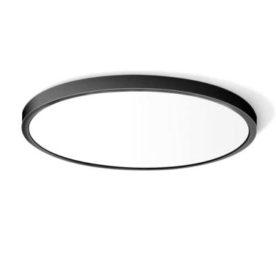 LED Ceiling Light Fixture, Daylight White LED Ceiling Light Fixture, Daylight White