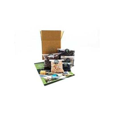 Terrarium Kit Terrarium Kit