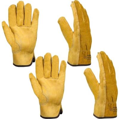Xndryan Gardening Gloves, 2 Pairs Xndryan Gardening Gloves, 2 Pairs