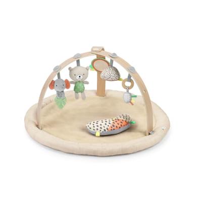 Ingenuity Baby Play Gym and Mat Ingenuity Baby Play Gym and Mat