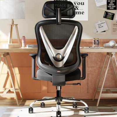HOLLUDLE Ergonomic Office Chair HOLLUDLE Ergonomic Office Chair