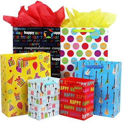 Fzopo Gift Bag Assortment with Ribbon Handle